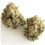 Шишки "White Widow" (Белая вдова) Гидропоника - Бошка VHQ в Шадринске Шишки "White Widow" (Белая вдова) Гидропоника - Бошка VHQ в Шадринске