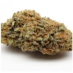 Шишки AK47 (Гидропоника, Бошка) VHQ в Шадринске Шишки AK47 (Гидропоника, Бошка) VHQ в Шадринске