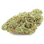 Шишки OG Kush (Гидропоника, бошки) VHQ в Шадринске Шишки OG Kush (Гидропоника, бошки) VHQ в Шадринске